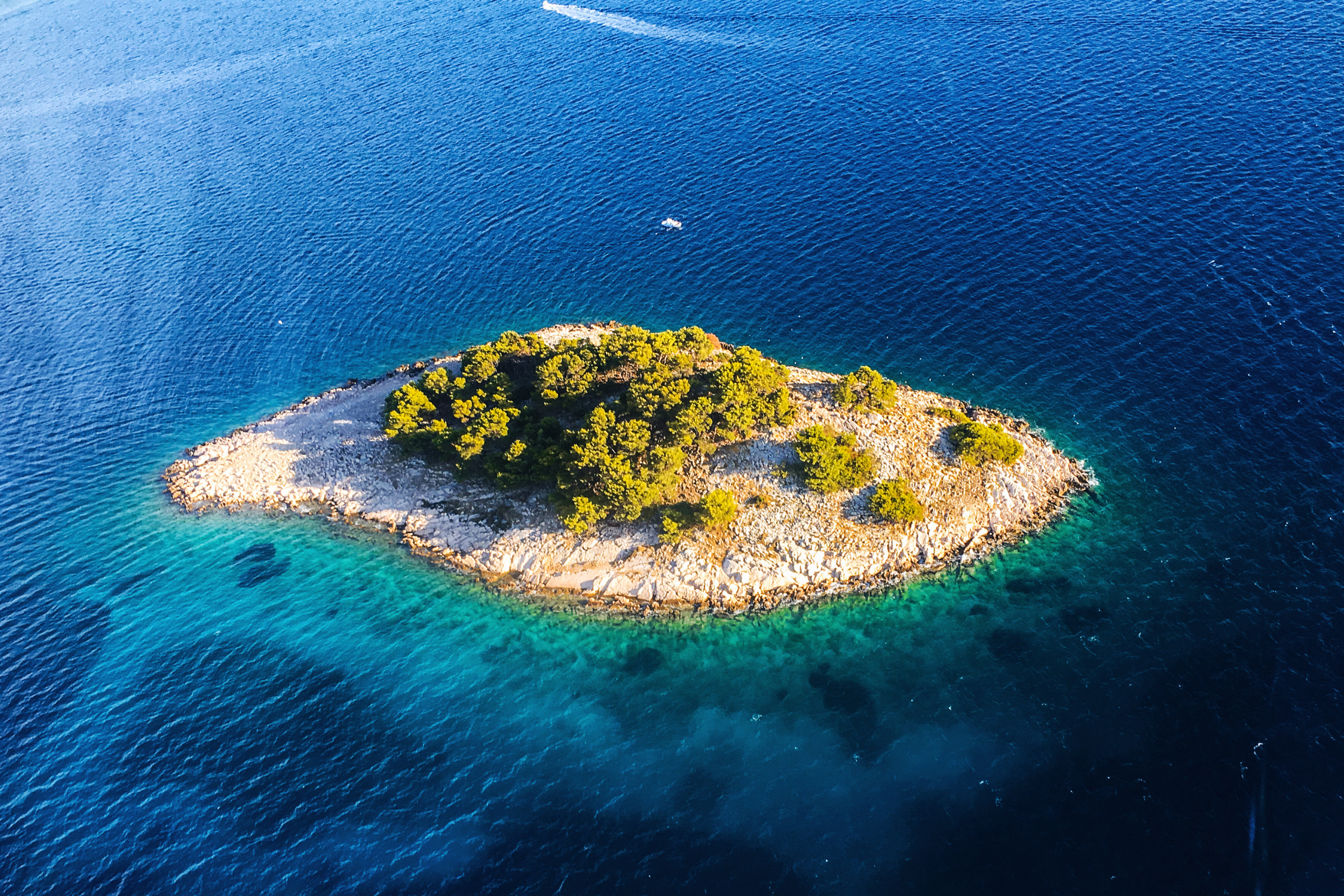 papey island (3).webp